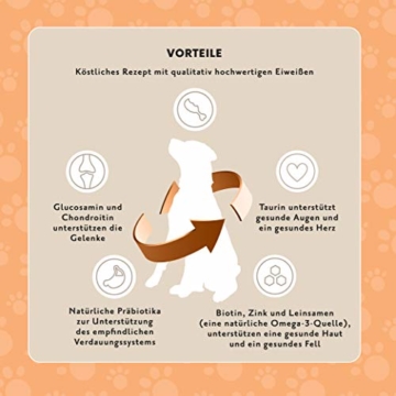 Amazon-Marke: Lifelong Complete Komplett-Trockenfutter für ausgewachsene (ADULT) Hunde, reich an Huhn und Reis, 1 x 15 kg - 6