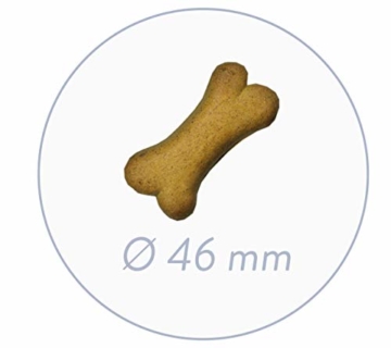 Bosch Biscuit Lamm & Reis, 6er Pack (6 x 1 kg) - 2