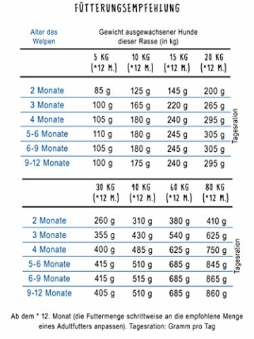 bosch HPC Junior mit Lamm & Reis | Hundetrockenfutter zur Aufzucht ernährungssensibler Welpen, 1 x 15 kg - 4