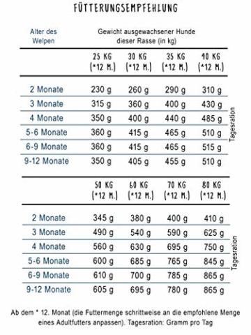 bosch HPC Maxi Junior | Hundetrockenfutter zur Aufzucht großer Rassen (ab 25 kg Endgewicht), 1 x 3 kg - 4