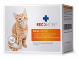 RECOACTIV® Nieren Tonicum für Katzen, 3 x 90 ml, Nahrungsmittelergänzung für nierenkranke Katzen sowie zur Prophylaxe, Stärkungsmittel zur Rekonvaleszenz bei Niereninsuffizienz der Katze - 1