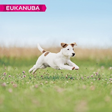 Eukanuba Puppy Trockenfutter für kleine Welpen mit frischem Huhn, 3kg - 9