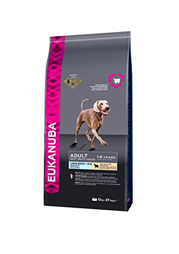 Eukanuba Hundefutter für ausgewachsene Hunde großer Rassen – Trockenfutter mit Lamm & Reis - 3