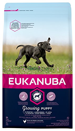 Eukanuba Puppy Trockenfutter für große Welpen mit frischem Huhn, 3kg - 1