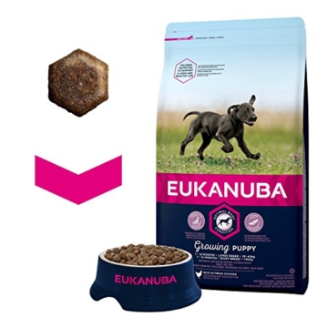 Eukanuba Puppy Trockenfutter für große Welpen mit frischem Huhn, 3kg - 4